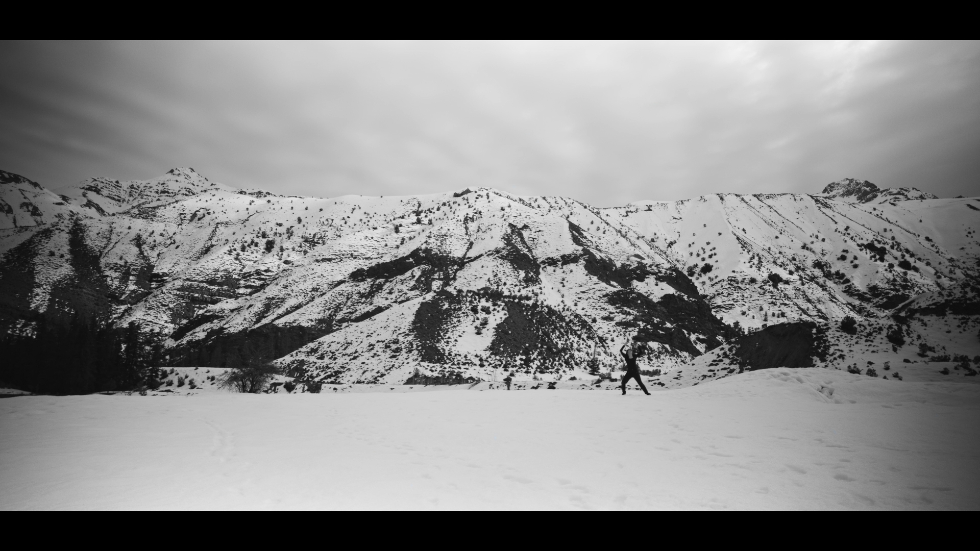 JU • MALA INTUICIÓN • NIEBLA